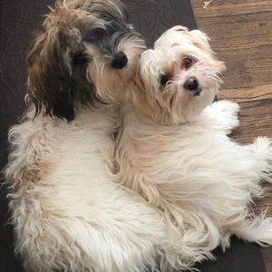 Meet your Posher, Bryson